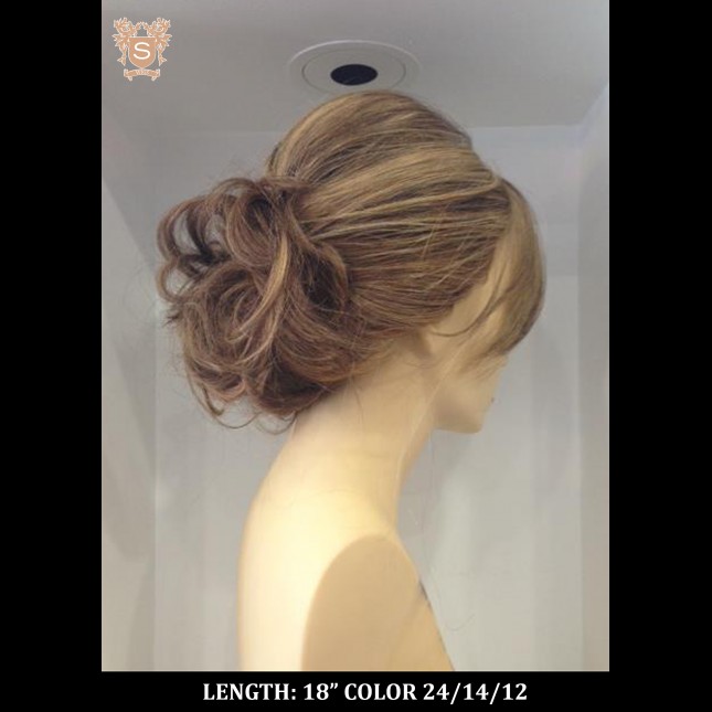 Pony tail wig from Celebrity collection wig length 18 inches color 24/14/12